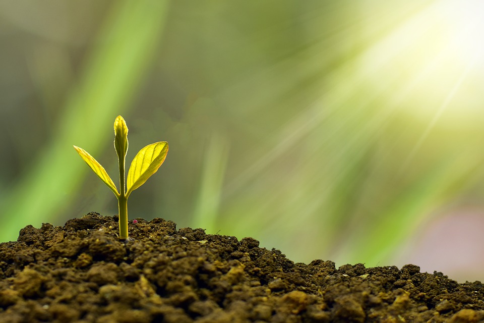 Fixed-Rate vs. Variable-Rate Loans: A Technical Guide to Choosing the Right Financial Instrument